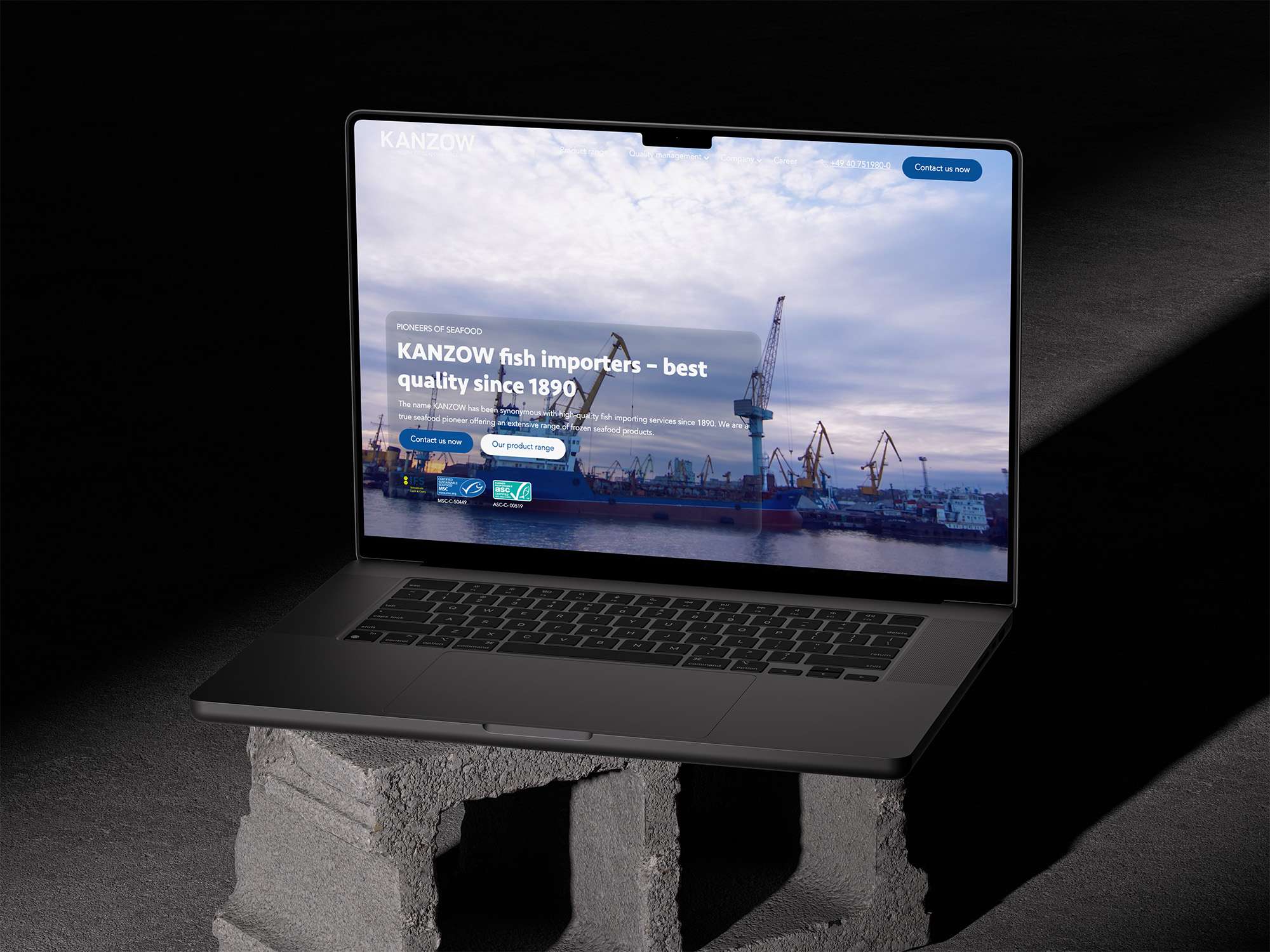 KANZOW - Pioneers of Seafood: Website Mockup